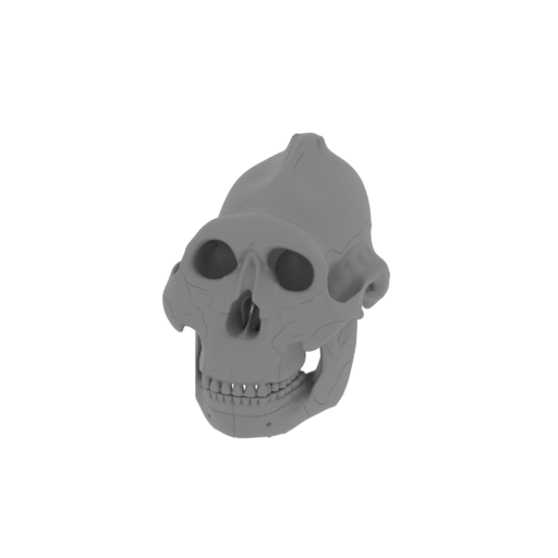 Paranthropus boisei Skull.stl