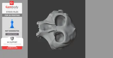 Paranthropus robustus Skull - Skull Replica STL
