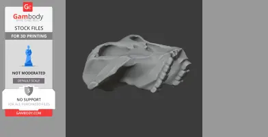 Paranthropus robustus Skull - Skull Replica STL