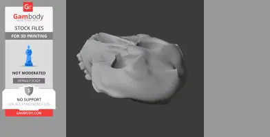 Paranthropus robustus Skull - Skull Replica STL