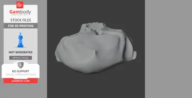 Paranthropus robustus Skull - Skull Replica STL