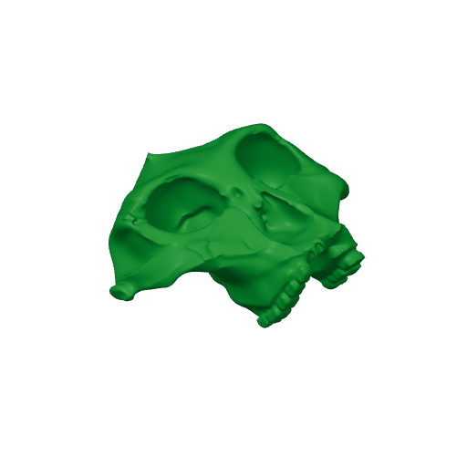 Paranthropus robustus Skull.3mf