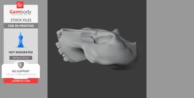 Paranthropus robustus Skull - Skull Replica STL