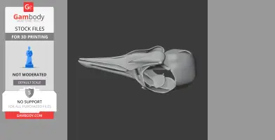 Passenger Pigeon Skull - Skull Replica STL