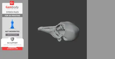 Passenger Pigeon Skull - Skull Replica STL