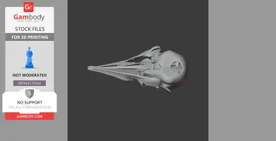 Passenger Pigeon Skull - Skull Replica STL