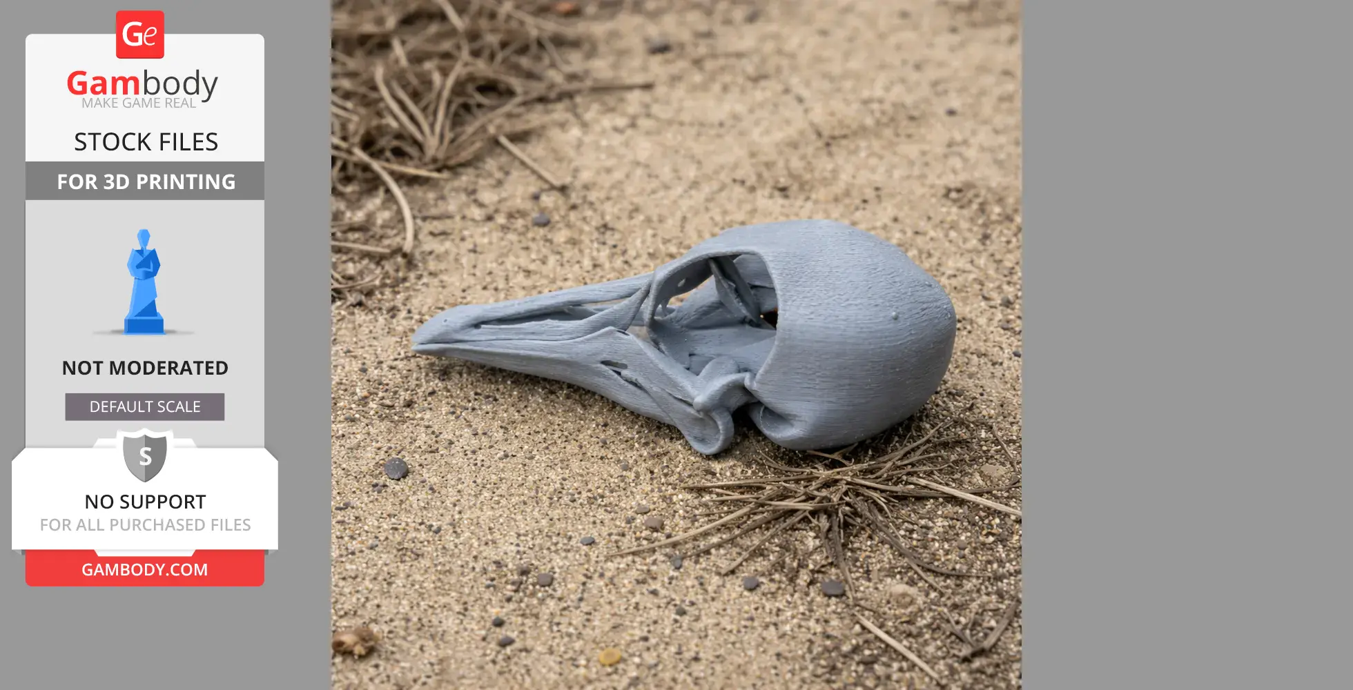 Passenger Pigeon Skull - Skull Replica STL