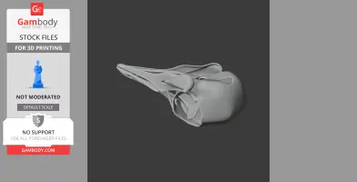 Passenger Pigeon Skull - Skull Replica STL