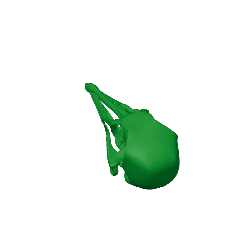 Passenger Pigeon Skull.3mf