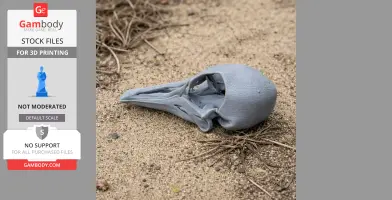 Passenger Pigeon Skull - Skull Replica STL