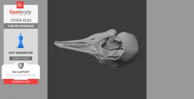 Passenger Pigeon Skull - Skull Replica STL