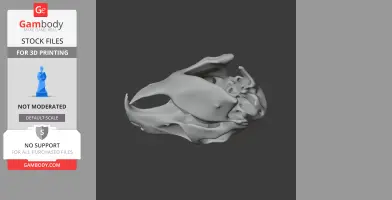 3D model of a Patagonian Mara skull, designed for 3D printing, showcasing anatomical details.
