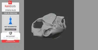 3D printed Patagonian mara skull replica STL file on a dark background.