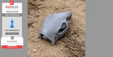 3D-printed Patagonian Mara skull replica on sandy ground.
