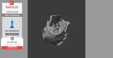 3D model of a Patagonian Mara skull, gray with detailed bone structure, displayed against a dark background.