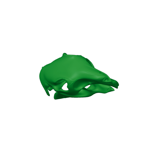 Patagonian Mara Skull.3mf