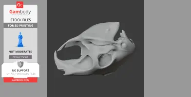 3D model of a detailed Patagonian Mara skull, ideal for printing, shown in profile view.