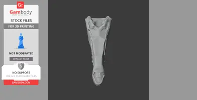 Patagonykus Skull - Skull Replica STL