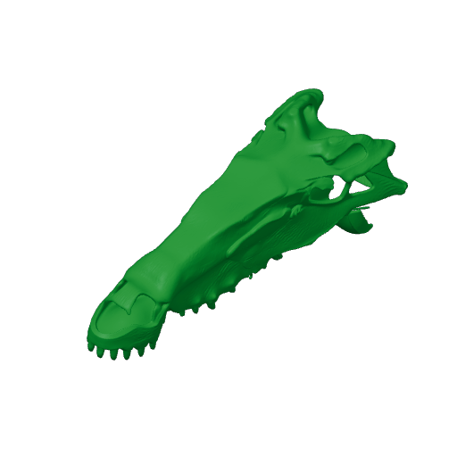 Patagonykus Skull.3mf