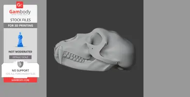 Patas Monkey Skull - Skull Replica STL