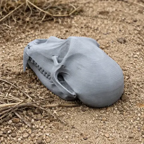 3D-printed Patas monkey skull replica on a sandy surface.