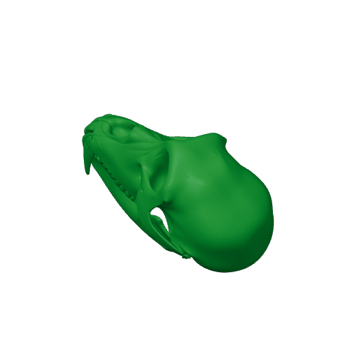 Patas Monkey Skull.3mf