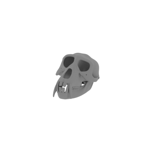 Patas Monkey Skull.stl
