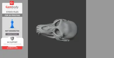 Patas Monkey Skull - Skull Replica STL