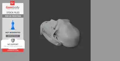 Patas Monkey Skull - Skull Replica STL
