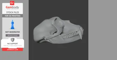 Patas Monkey Skull - Skull Replica STL