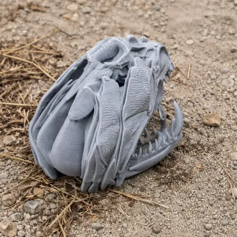 Gray 3D-printed Payara fish skull with long fangs, resting on a rocky surface.