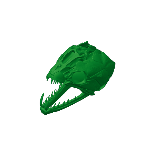 Payara (Vampire Fish) Skull.3mf