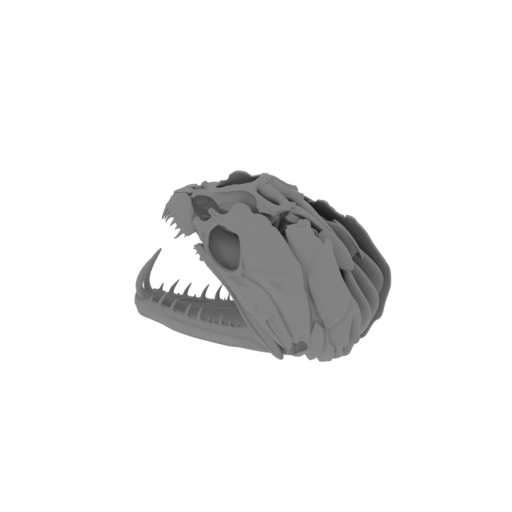Payara (Vampire Fish) Skull.stl