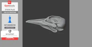 A detailed 3D model of a bird skull, featuring elongated beak and intricate bone structure.