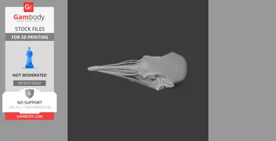 A detailed 3D model of a bird skull, designed for 3D printing.