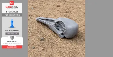 3D-printed bird skull replica on sandy ground, intricate bone structure with detailed features.