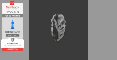 Detailed 3D model of a Pelorovis skull, ready for 3D printing.