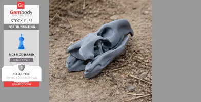 A 3D-printed Pelorovis skull model lies on a sandy, gravel surface.
