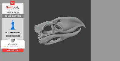 3D model of a Pelorovis skull, showcasing detailed bone structure for printing.
