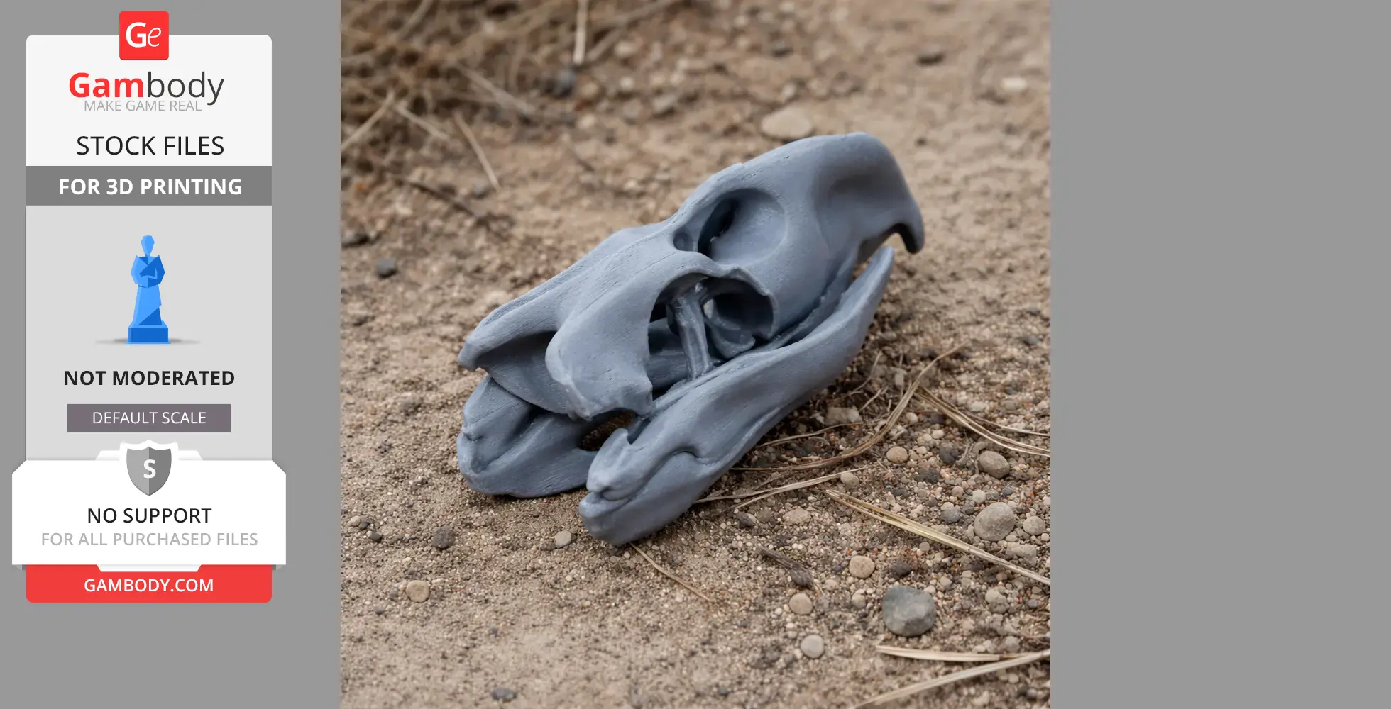 A 3D-printed Pelorovis skull model lies on a sandy, gravel surface.