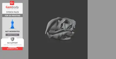 Gray 3D model of a Pelorovis skull, suitable for 3D printing, viewed from the front.