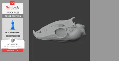 Pen-tailed Tree Shrew Skull - Skull Replica STL