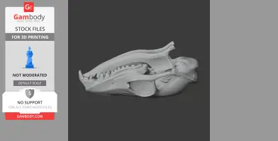 Pen-tailed Tree Shrew Skull - Skull Replica STL