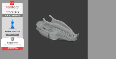 Pen-tailed Tree Shrew Skull - Skull Replica STL