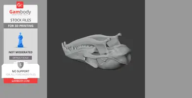 Pen-tailed Tree Shrew Skull - Skull Replica STL