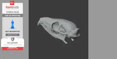 Pen-tailed Tree Shrew Skull - Skull Replica STL