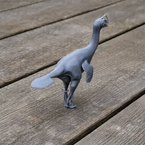 Anomalipes - Prehistoric Animal STL