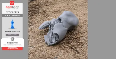 Pezophaps solitaria (Rodrigues - Skull Replica STL