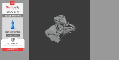 Pezophaps solitaria (Rodrigues - Skull Replica STL