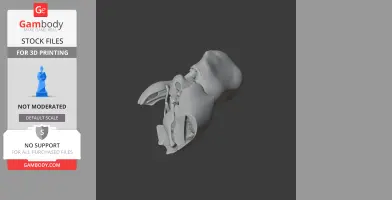 Pezophaps solitaria (Rodrigues - Skull Replica STL